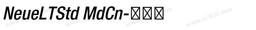NeueLTStd MdCn字体转换